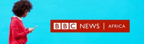 Armed attackers slay two dozen after shooting at christening gathering in Niger - sources say