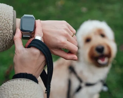 The Truth Regarding Fitness Trackers? Daily Existence Improves Lacking a Nagging Zealot on Your Arm
